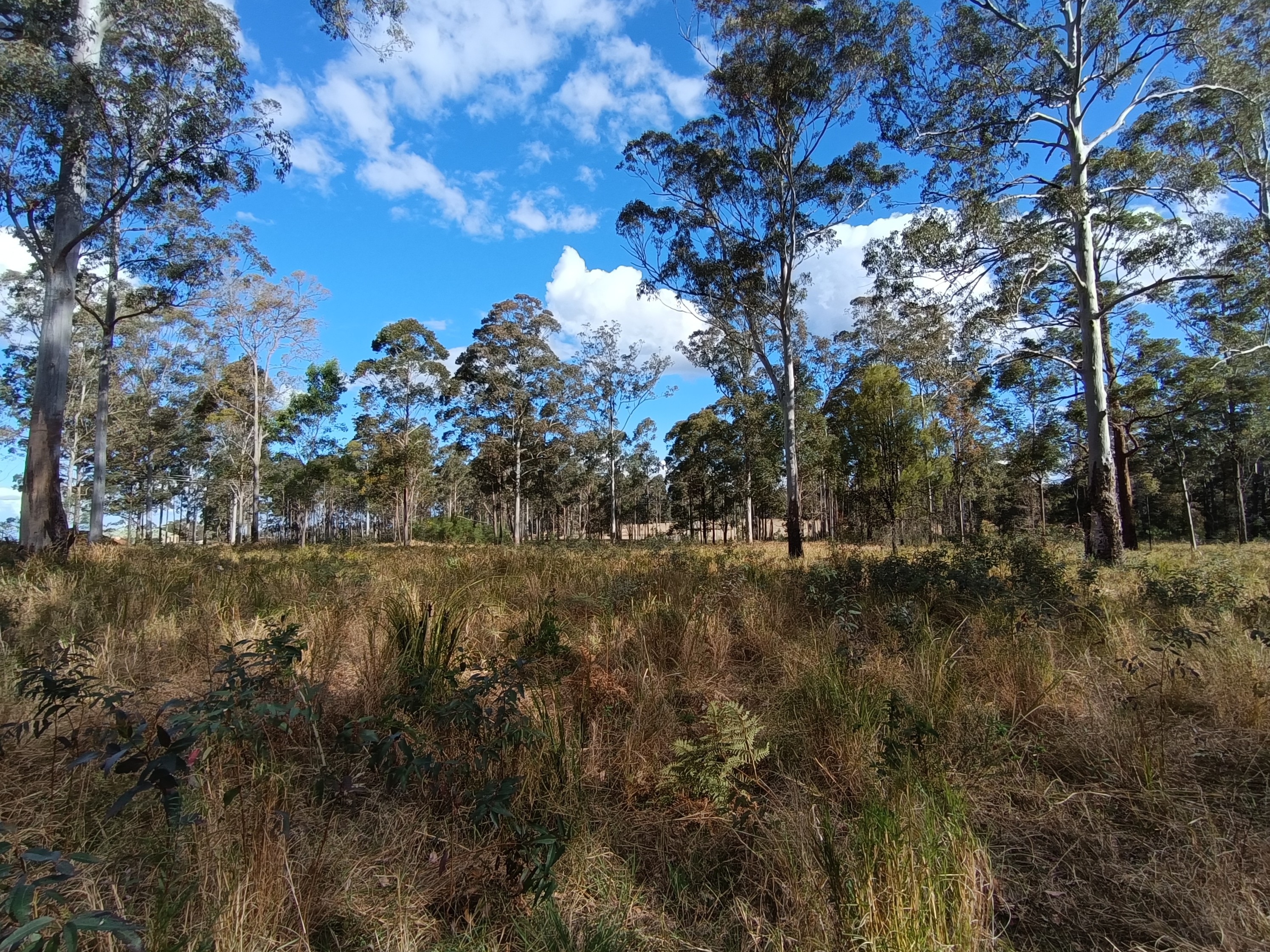 Block at Ground Level 1.jpg