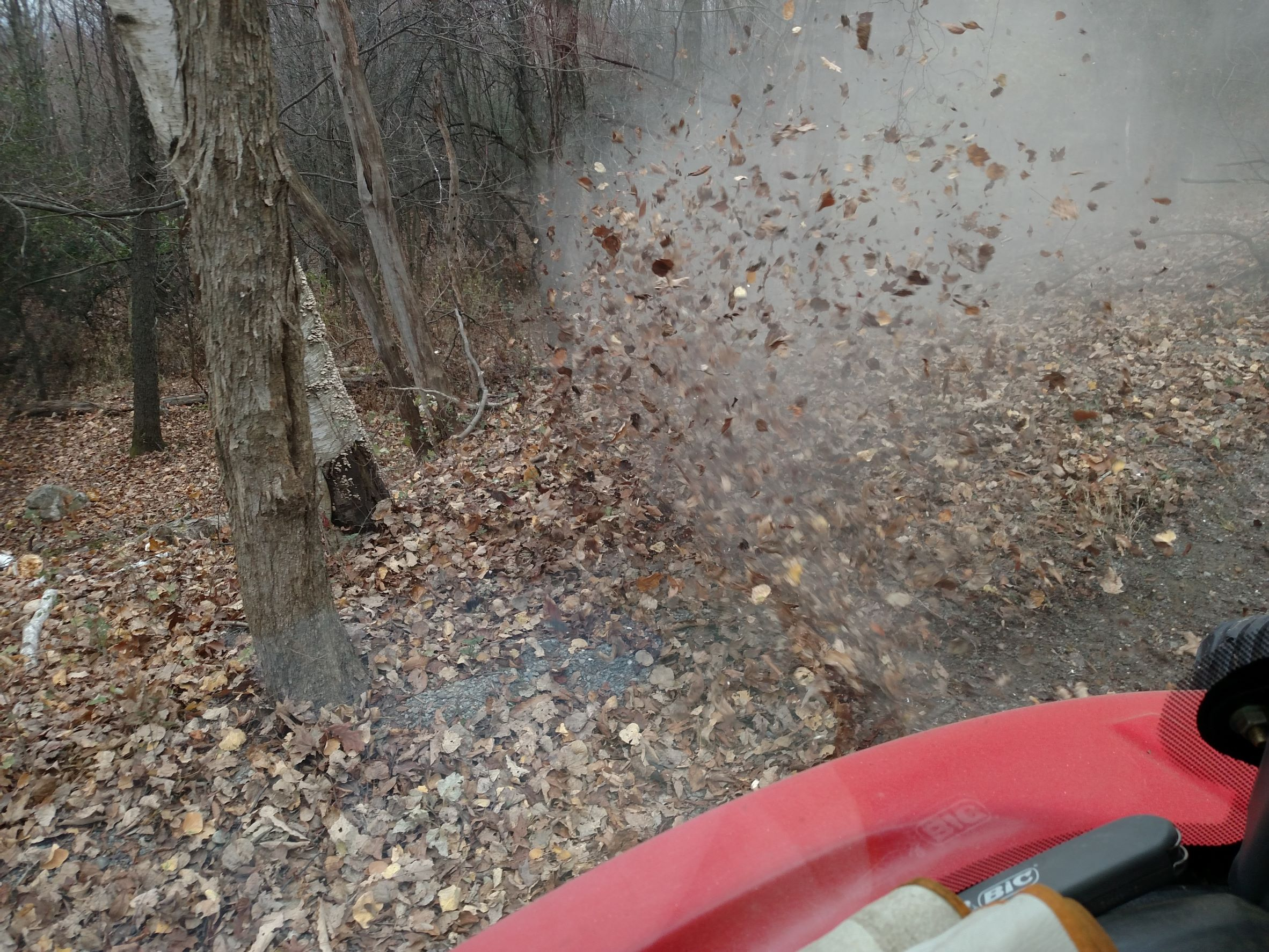 blower 3a.jpg