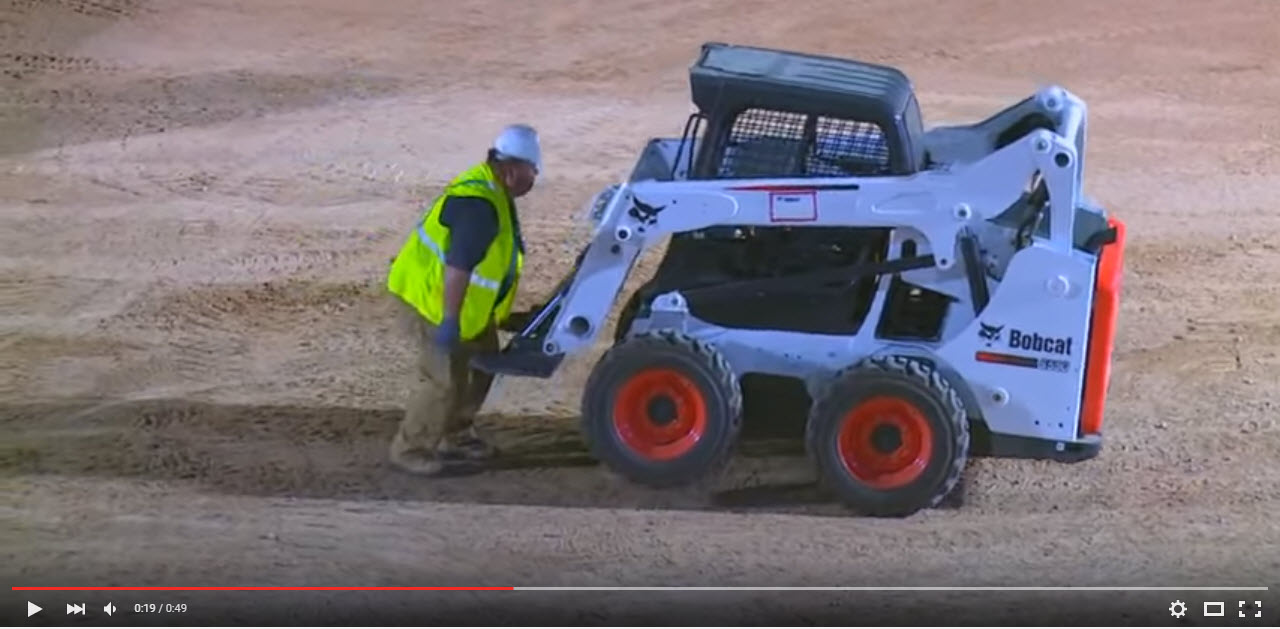 bobcat 2.jpg