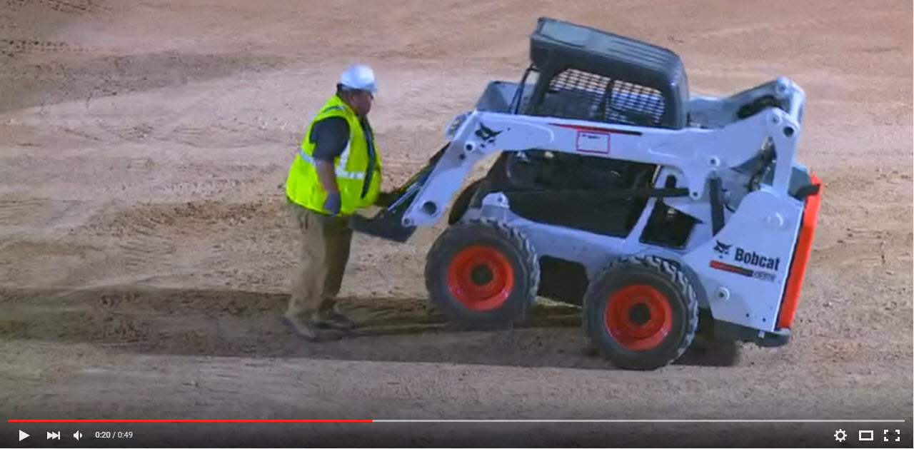 bobcat 3.jpg
