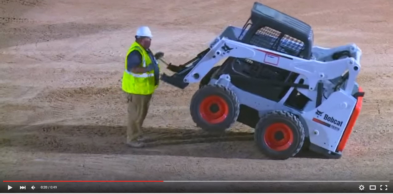 bobcat 4.jpg