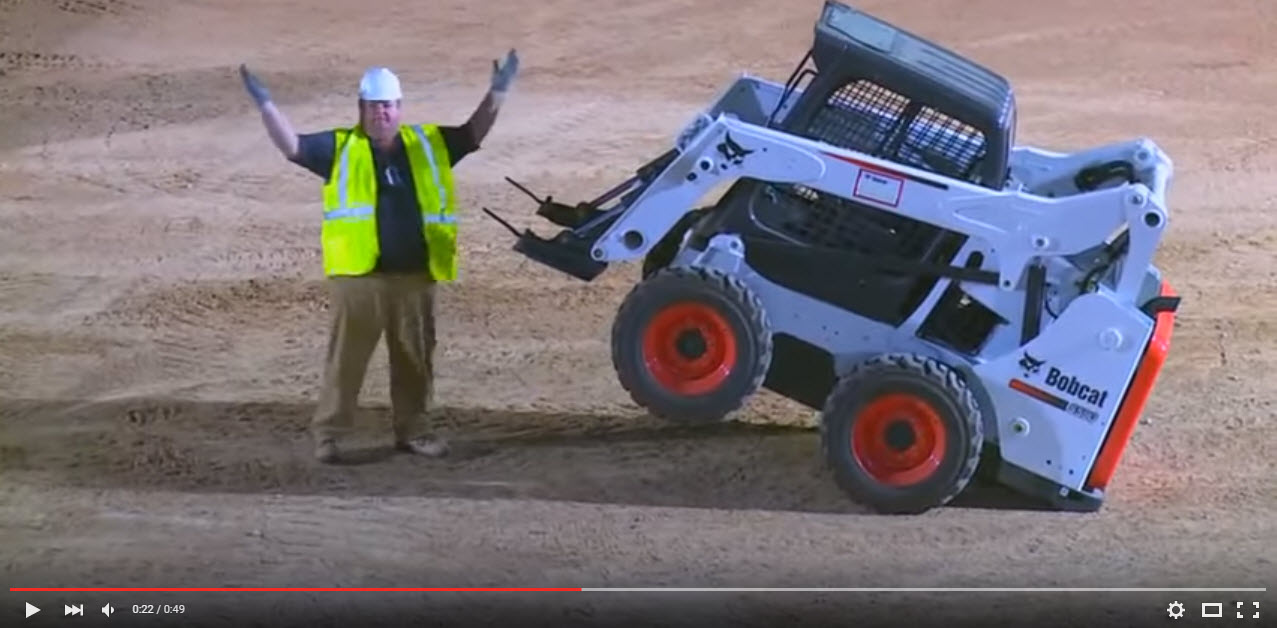 bobcat 5.jpg