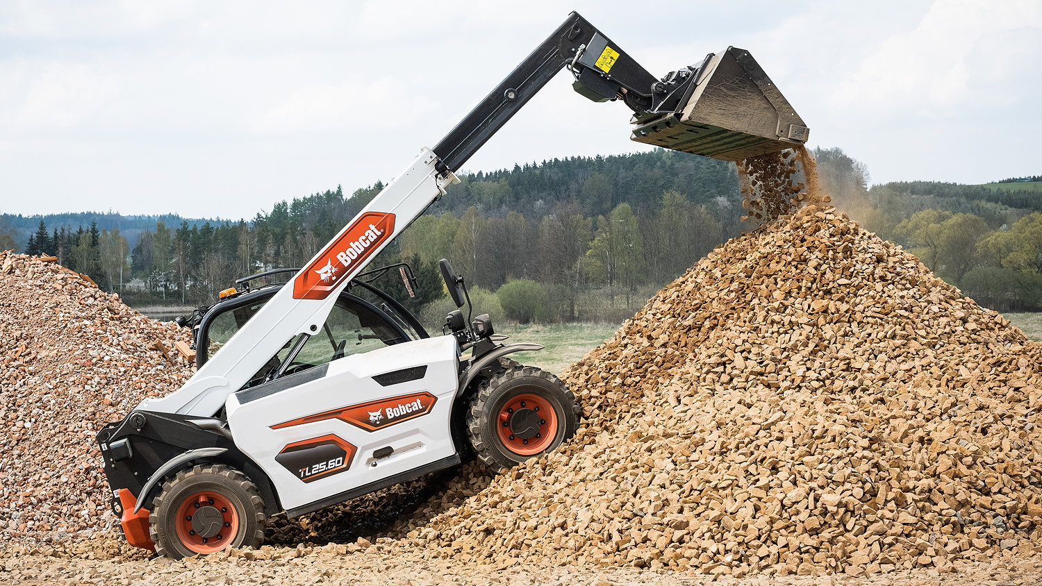 bobcat.jpg