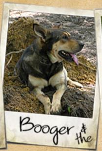 Booger.JPG