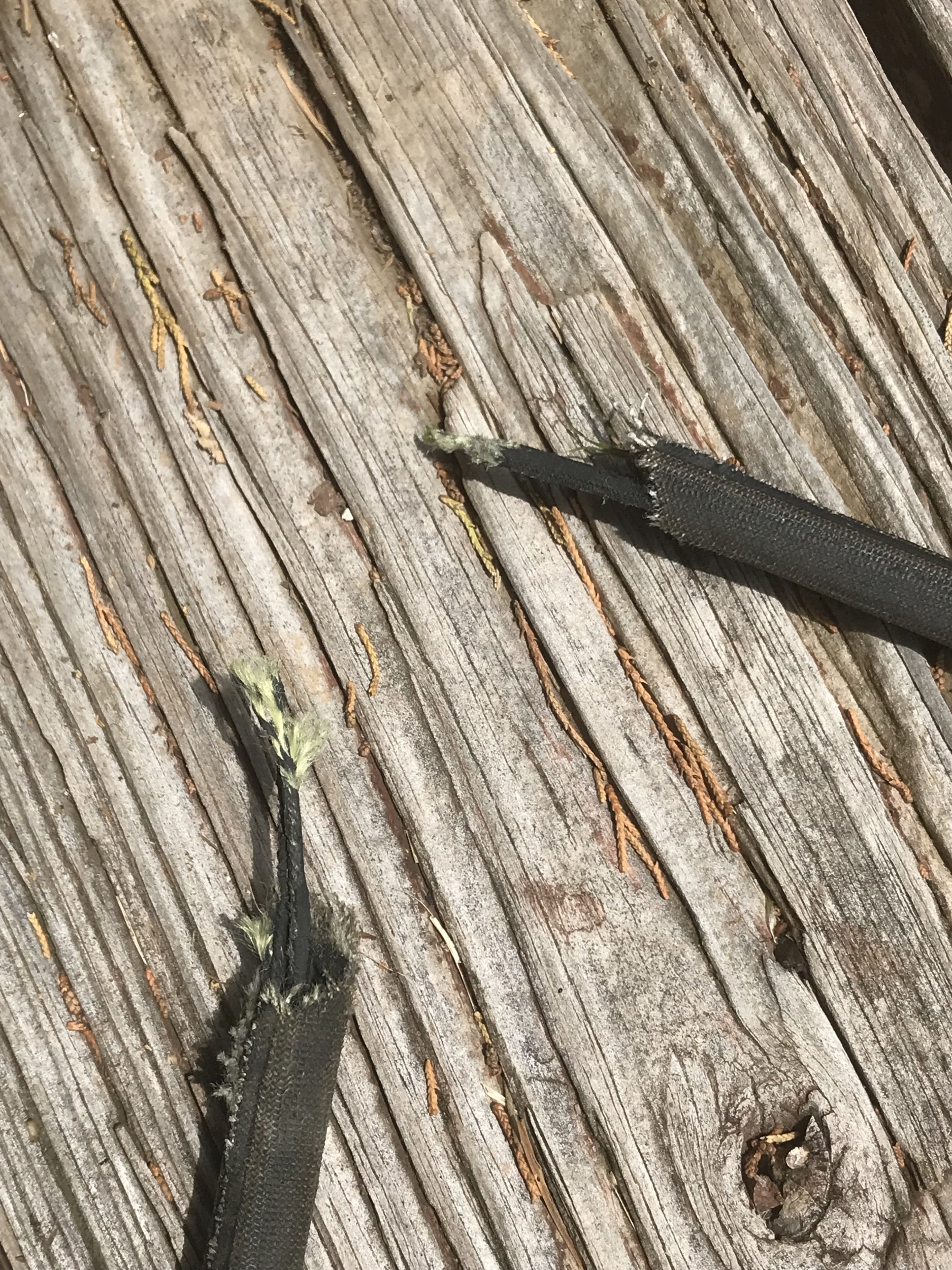 Broken_Belt.jpg