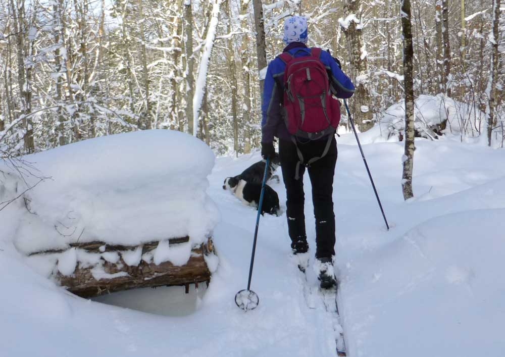 brtski0540.jpg