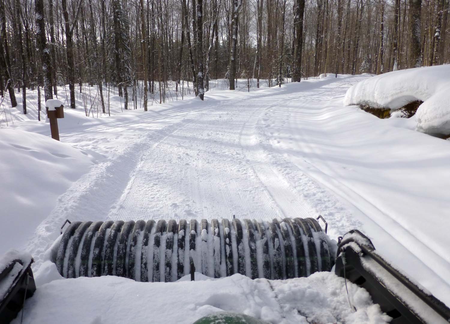 brtsnow0025.jpg