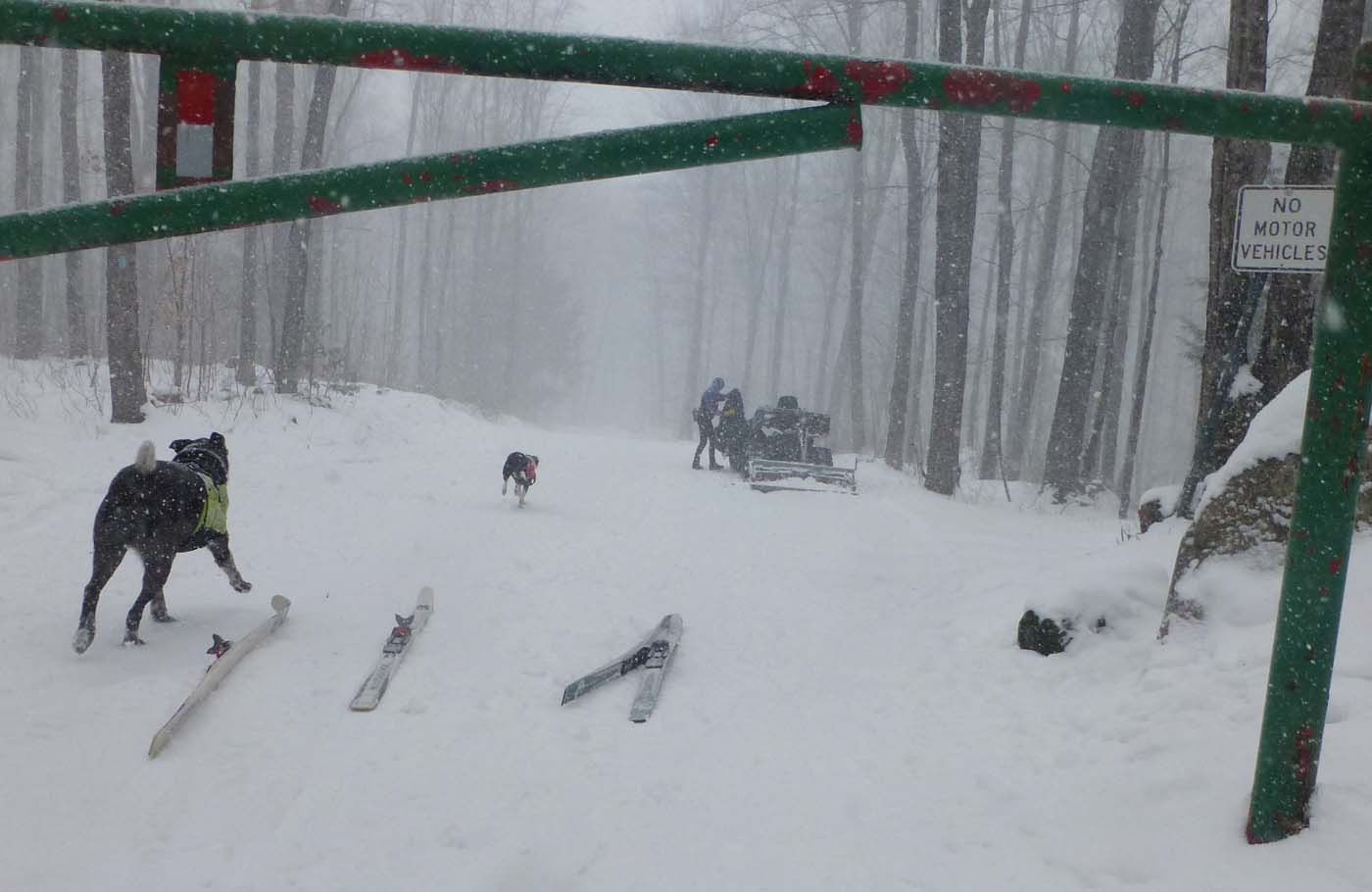 brtsnow80387.jpg