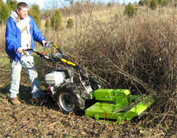 brush-2.jpg