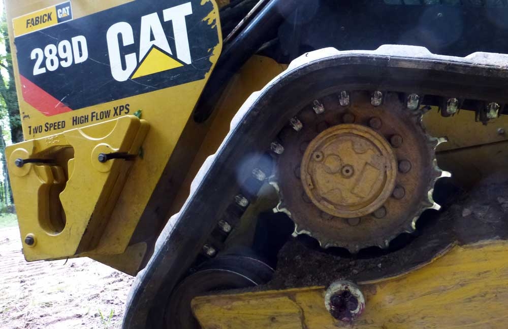 brushcuttercat0743.jpg