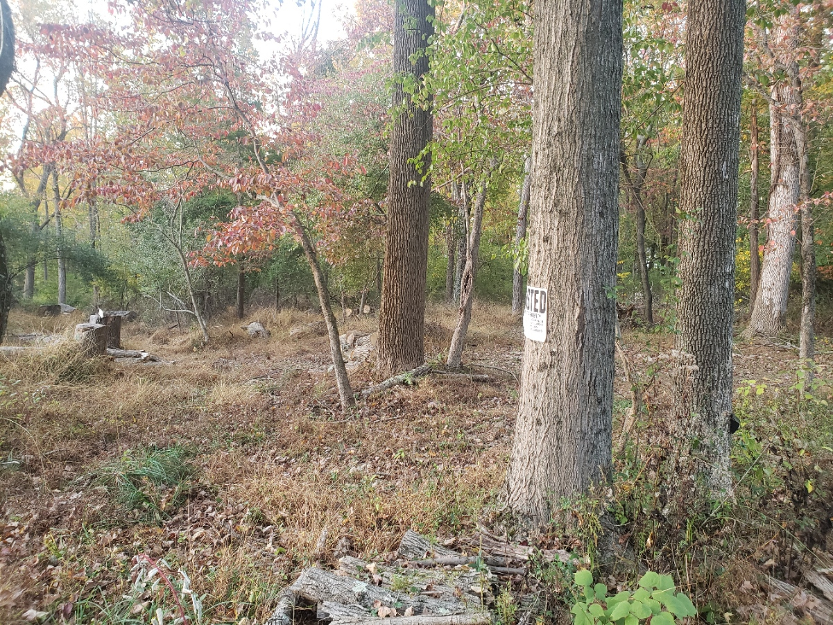 BruxhNo20211021_180052.jpg