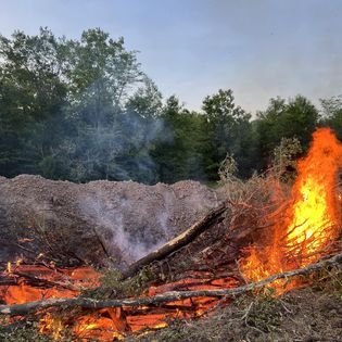Burn Pile.jpg