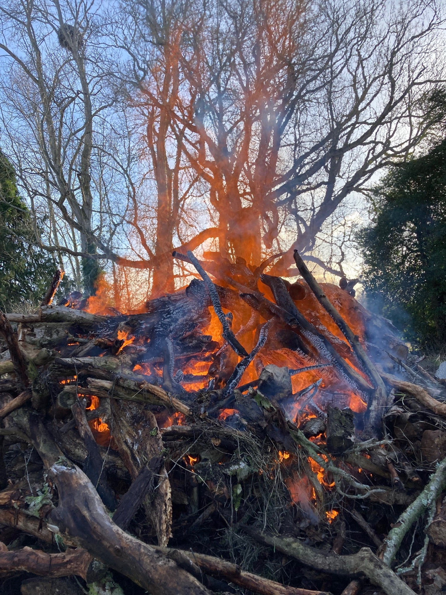 burn1.jpg