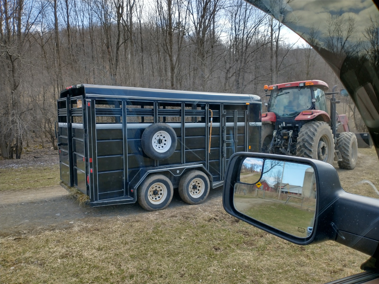 calve hauler.jpg