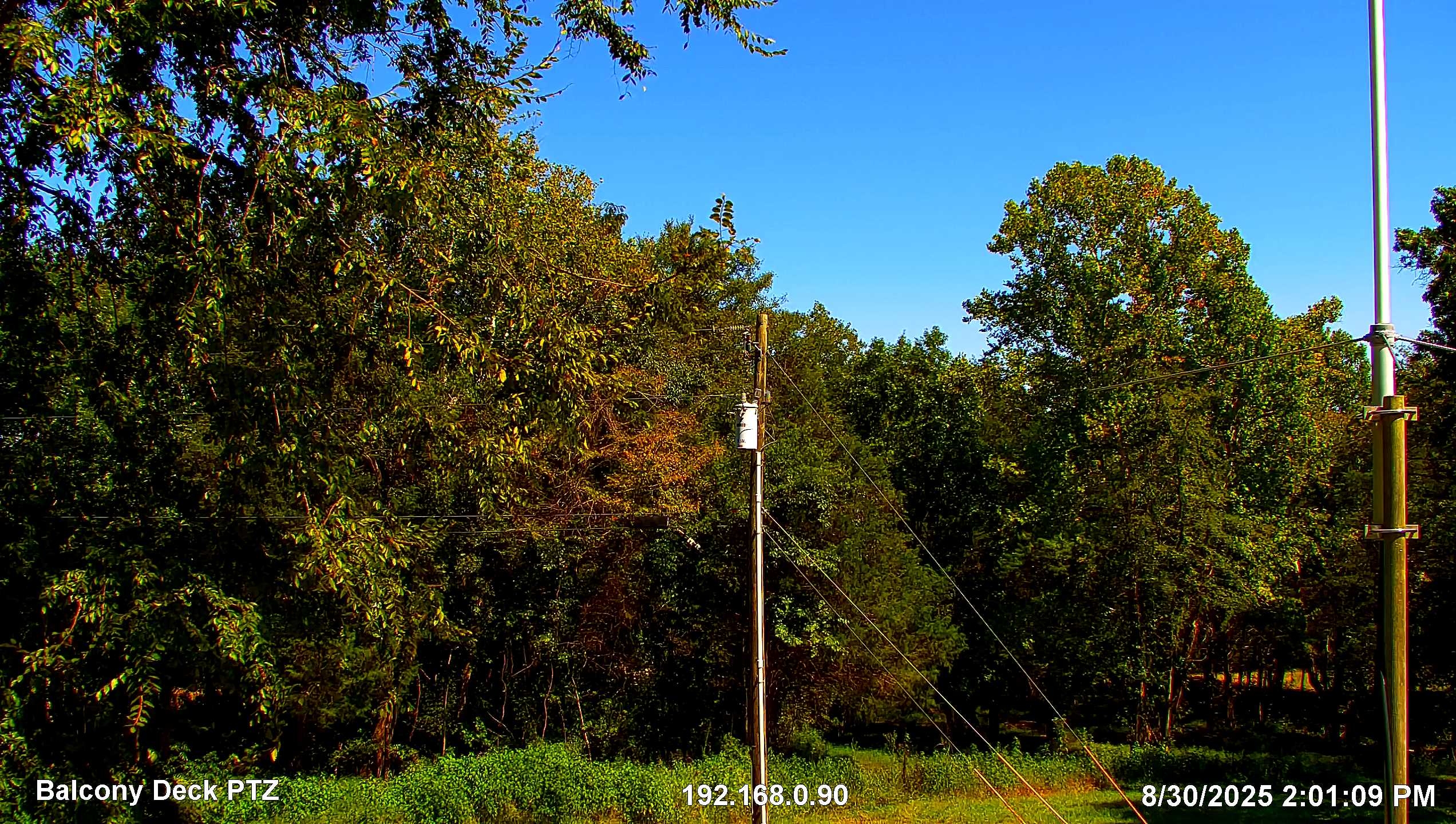 Cam_8.20250830_140109845.jpg