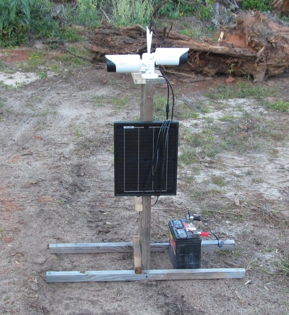 cameras-stand.jpg