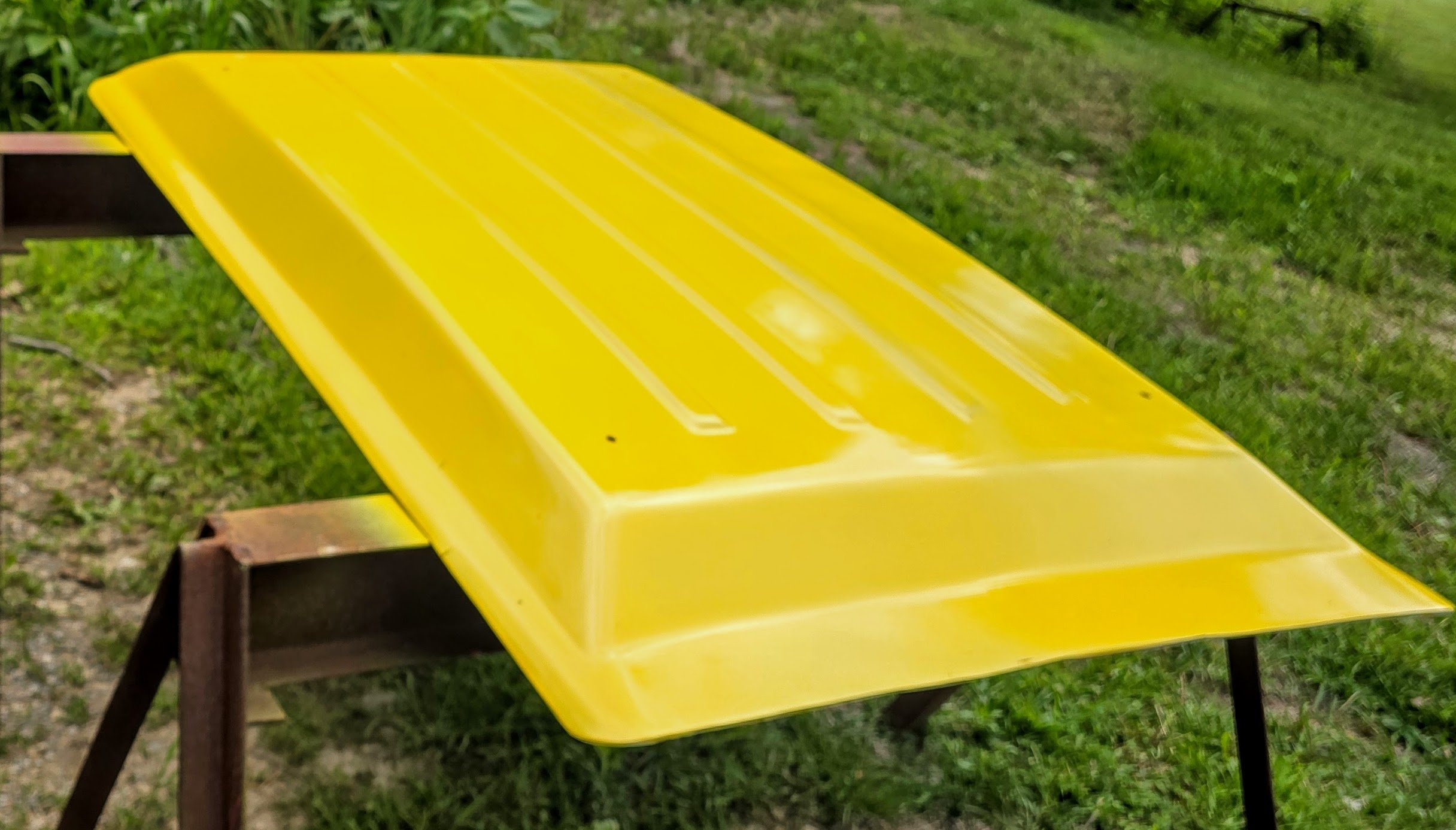 CANOPY PAINT2.jpg
