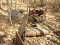 Car in the woods 5.JPG