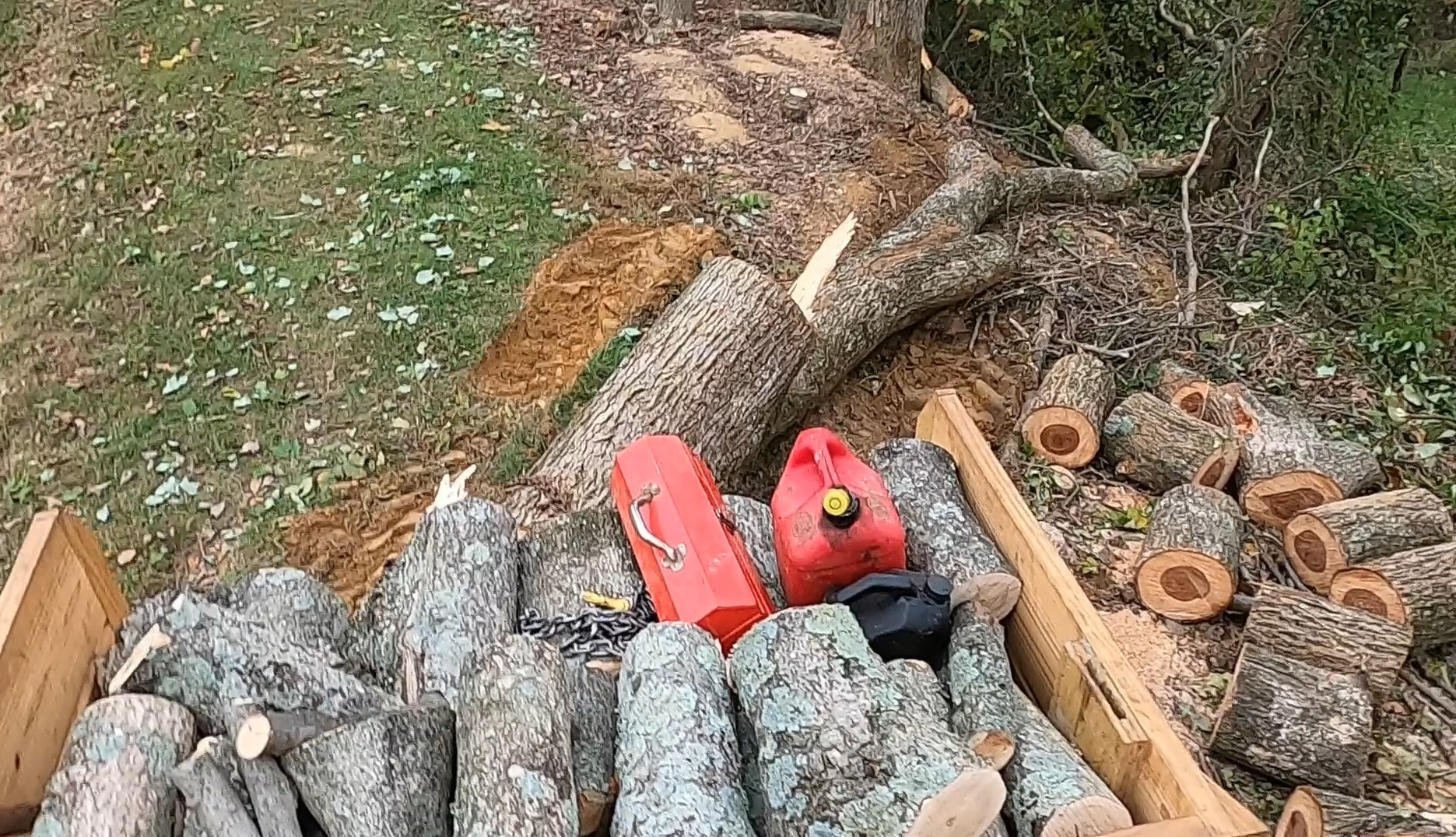 Carry All and skidding.jpg