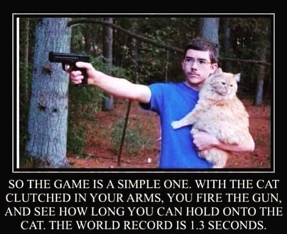 Cat-challenge.jpg