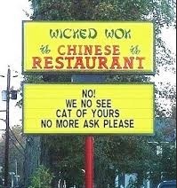 cat.jpg