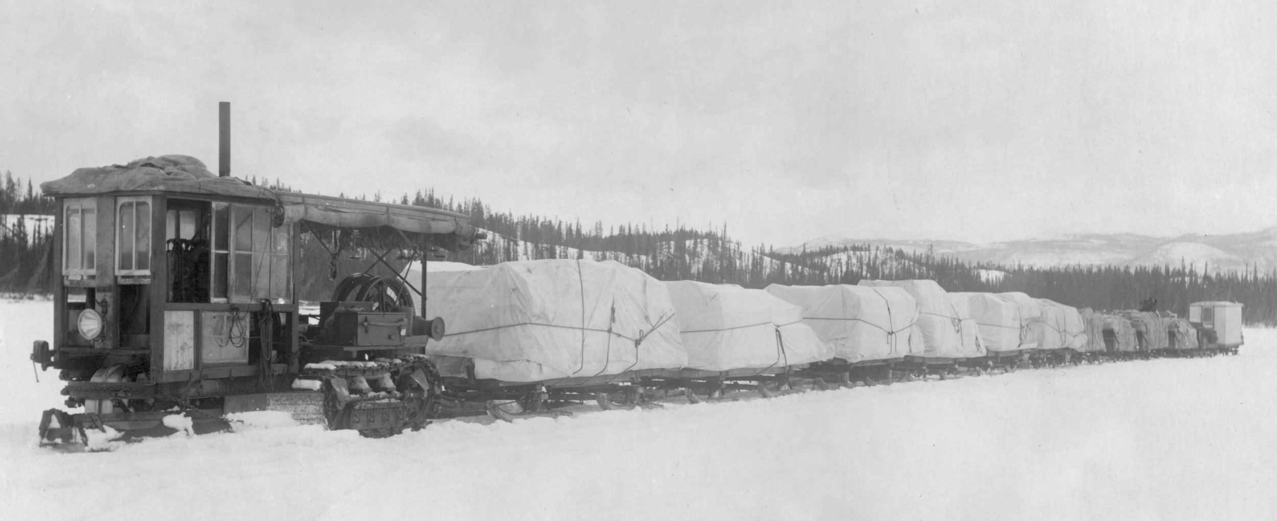 cat-train-yukon.jpg