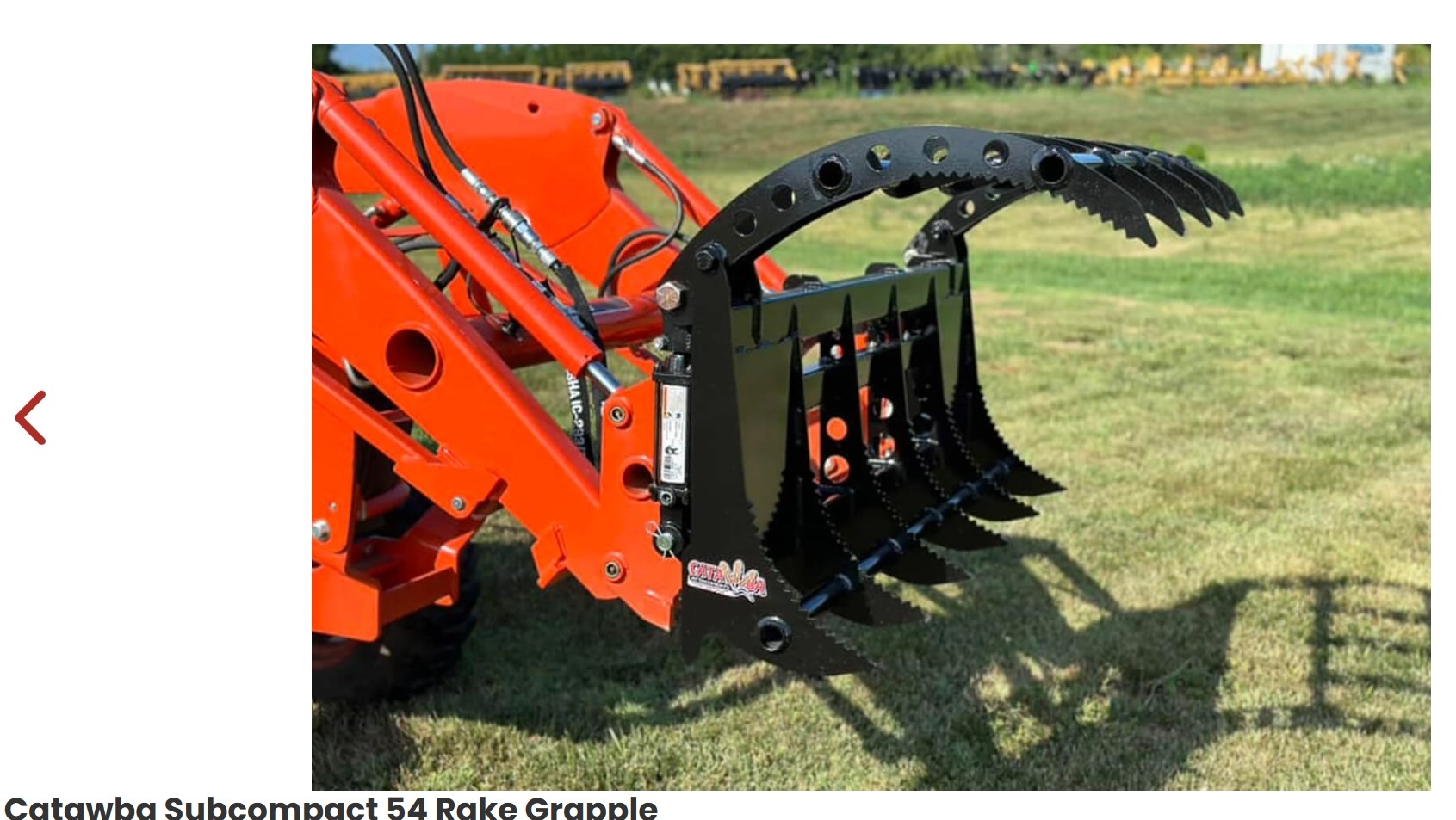 Catawba Grapple Pic.jpg