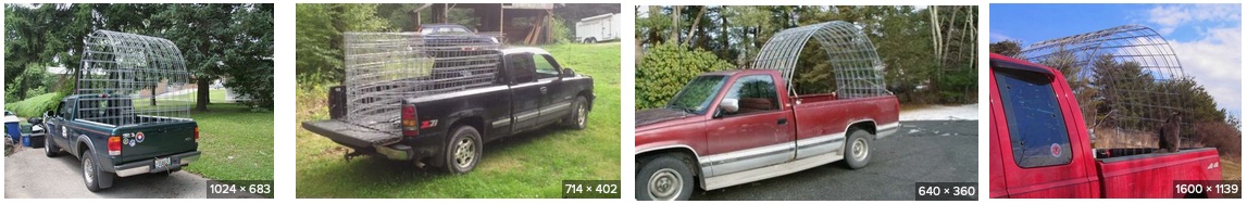 Cattle-panel-pickup.jpg