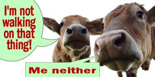 cattleguard2.jpg