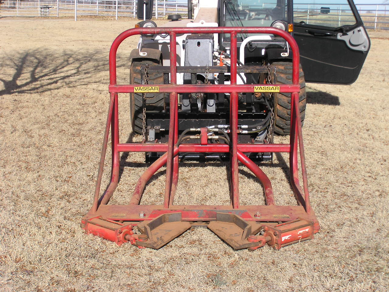 Cedar Tree Cutter (2).JPG
