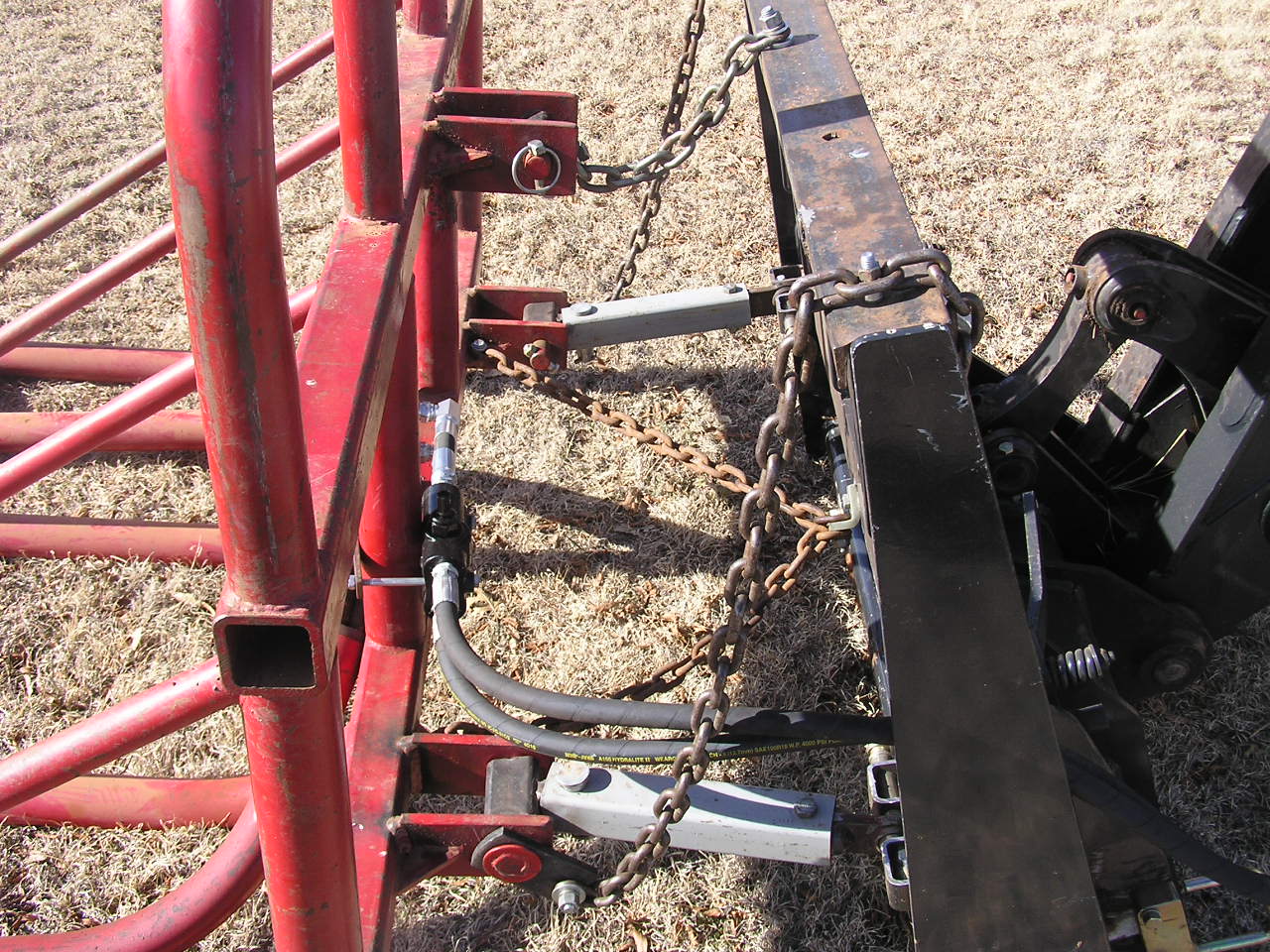 Cedar Tree Cutter (3).JPG
