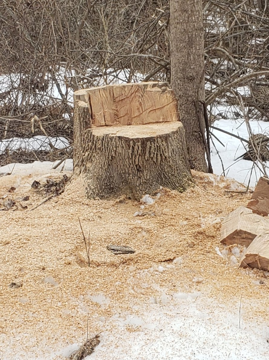 chair20210306_151930.jpg