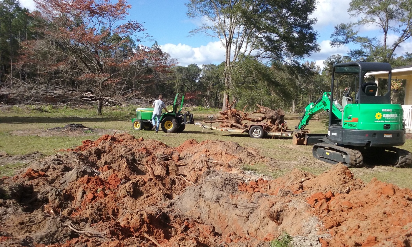 cherry-stumps.jpg