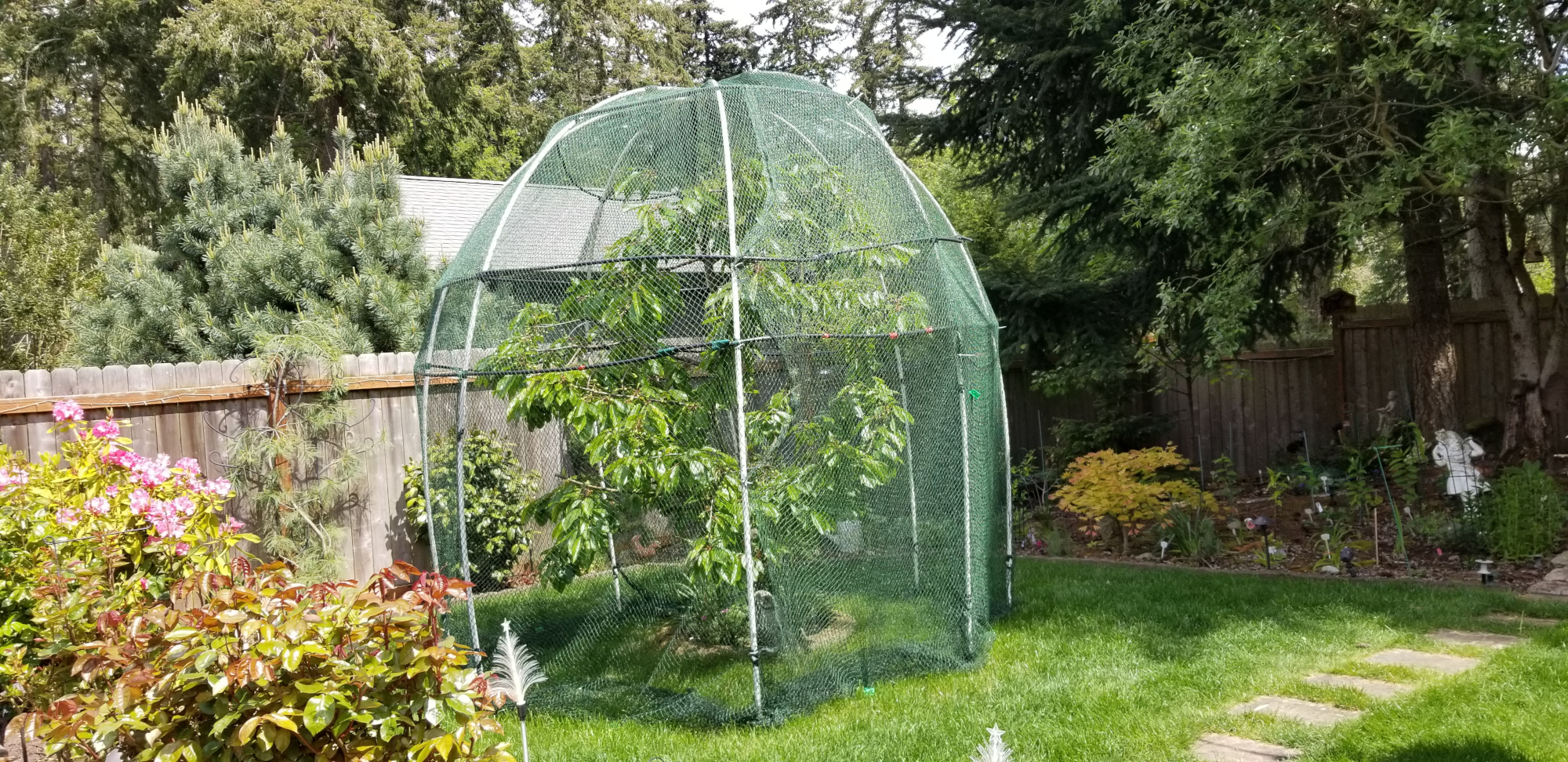 Cherry Tree Tent.jpg