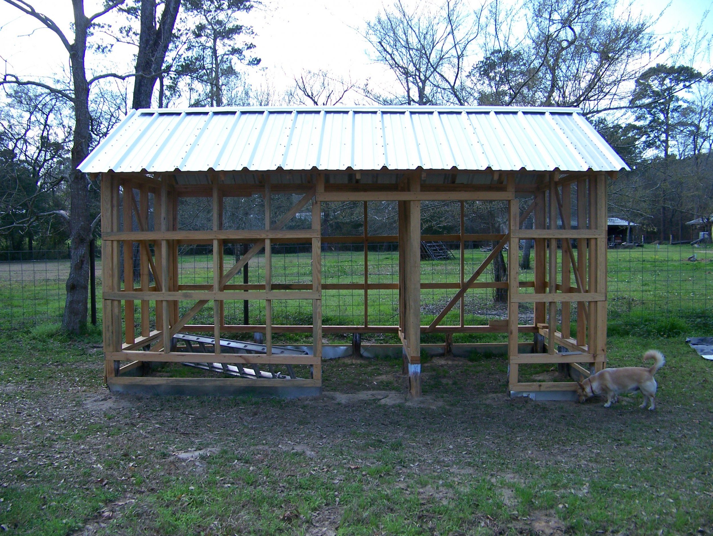 Chicken Quail Coop Roof On 2-20-23.jpg