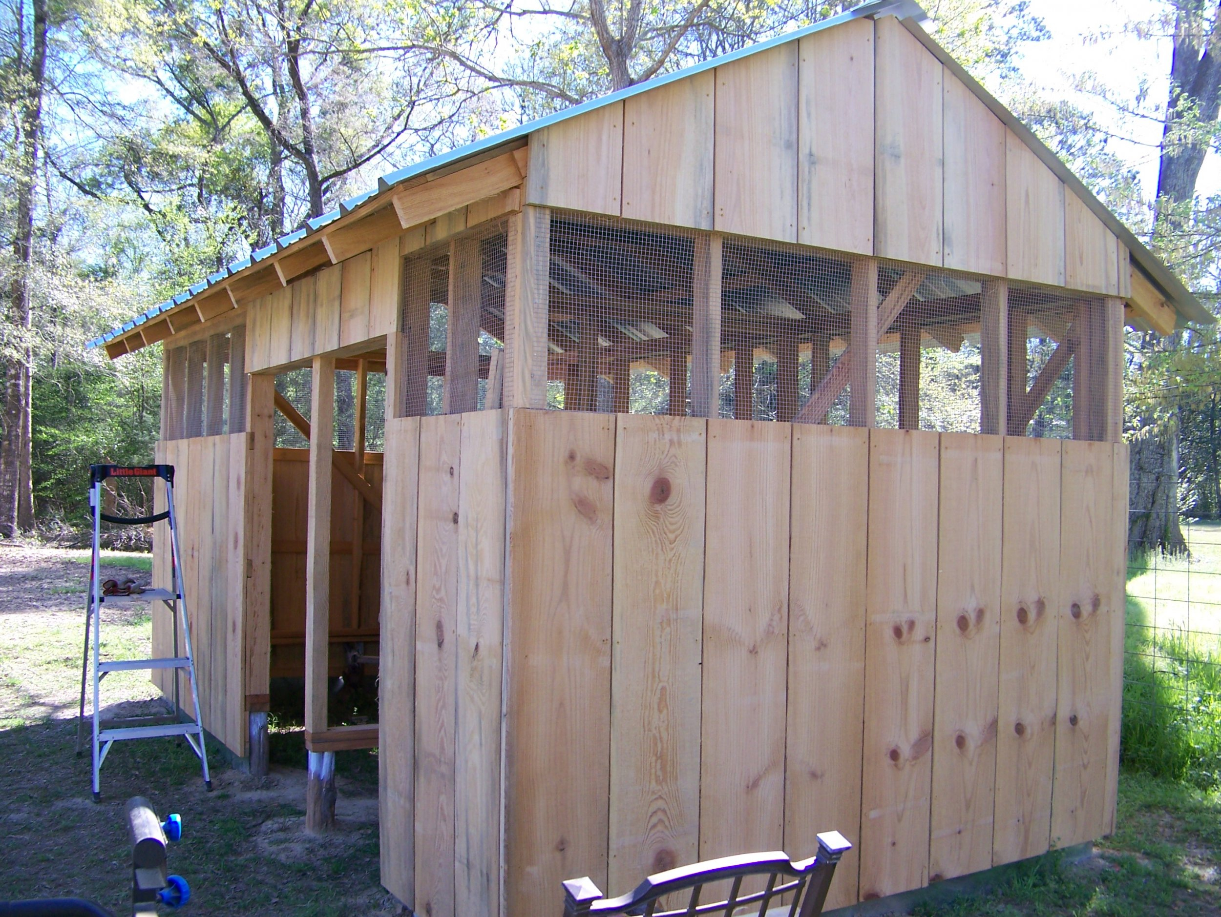 Chicken Quail Coop Siding Continues 3-4-23.jpg