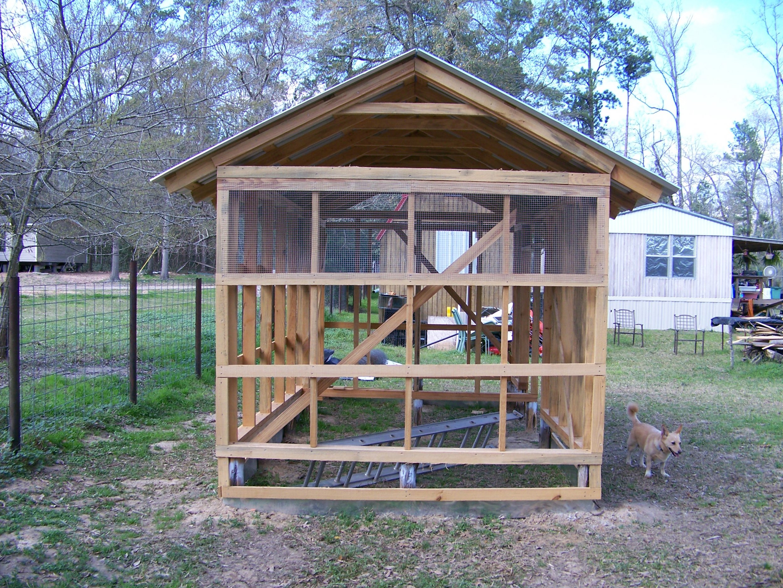 Chicken Quail Coop Wire On 2-17-23.jpg