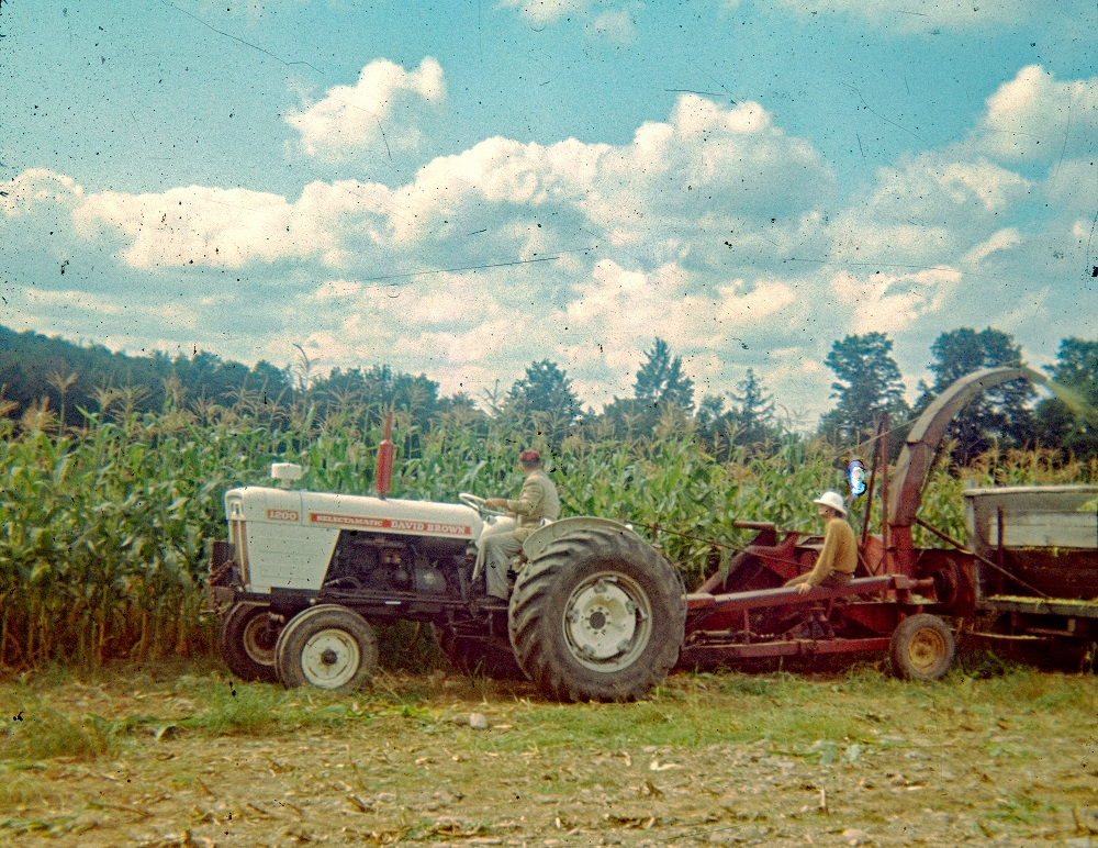 Chopping corn Fall 1969r.jpg