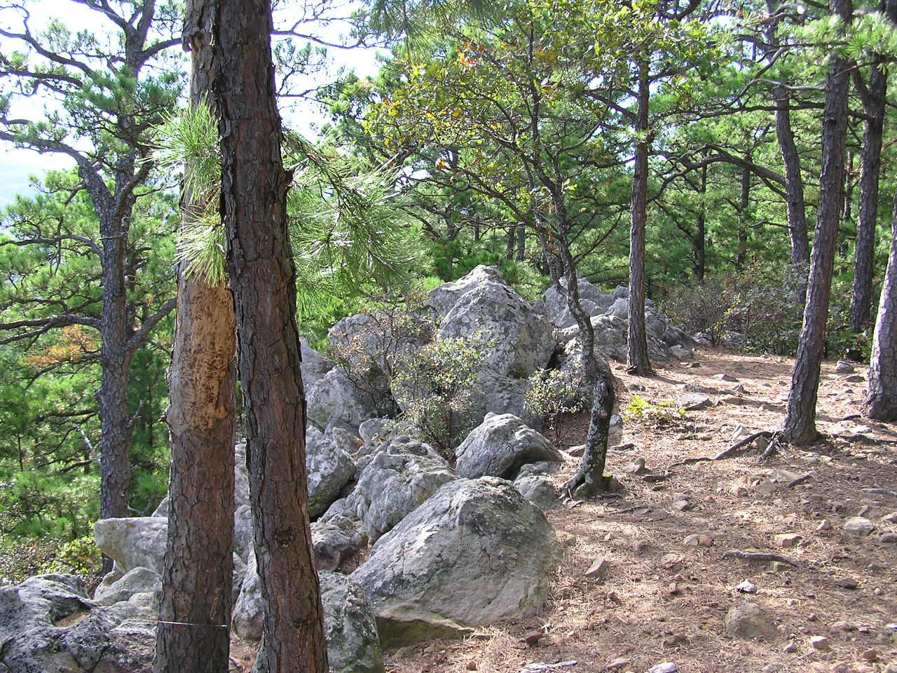 CL 11-2004 (9).JPG