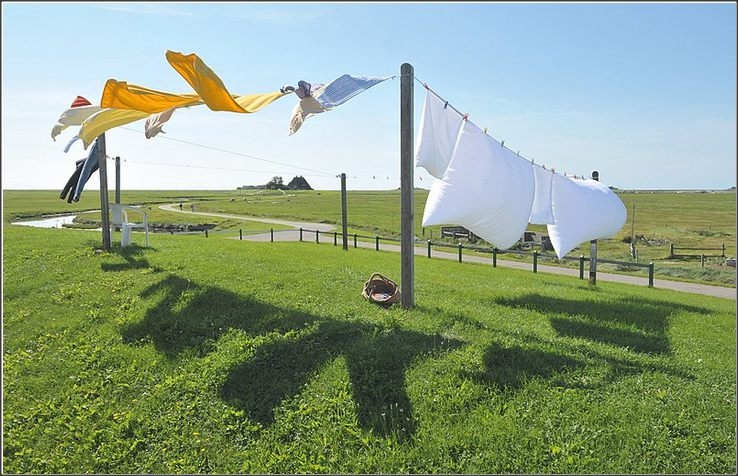 Clothes line.jpg
