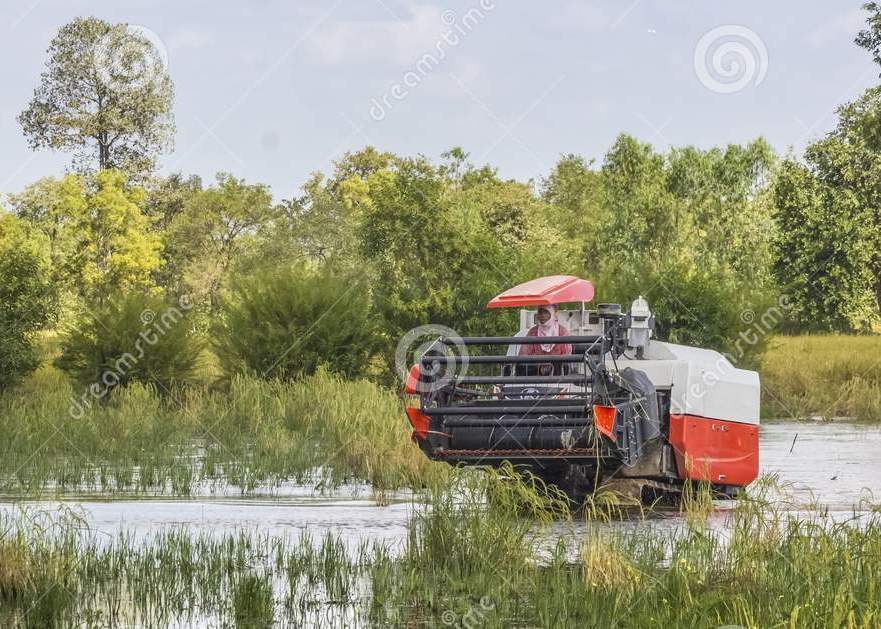 combine-harvesters-rice.jpg