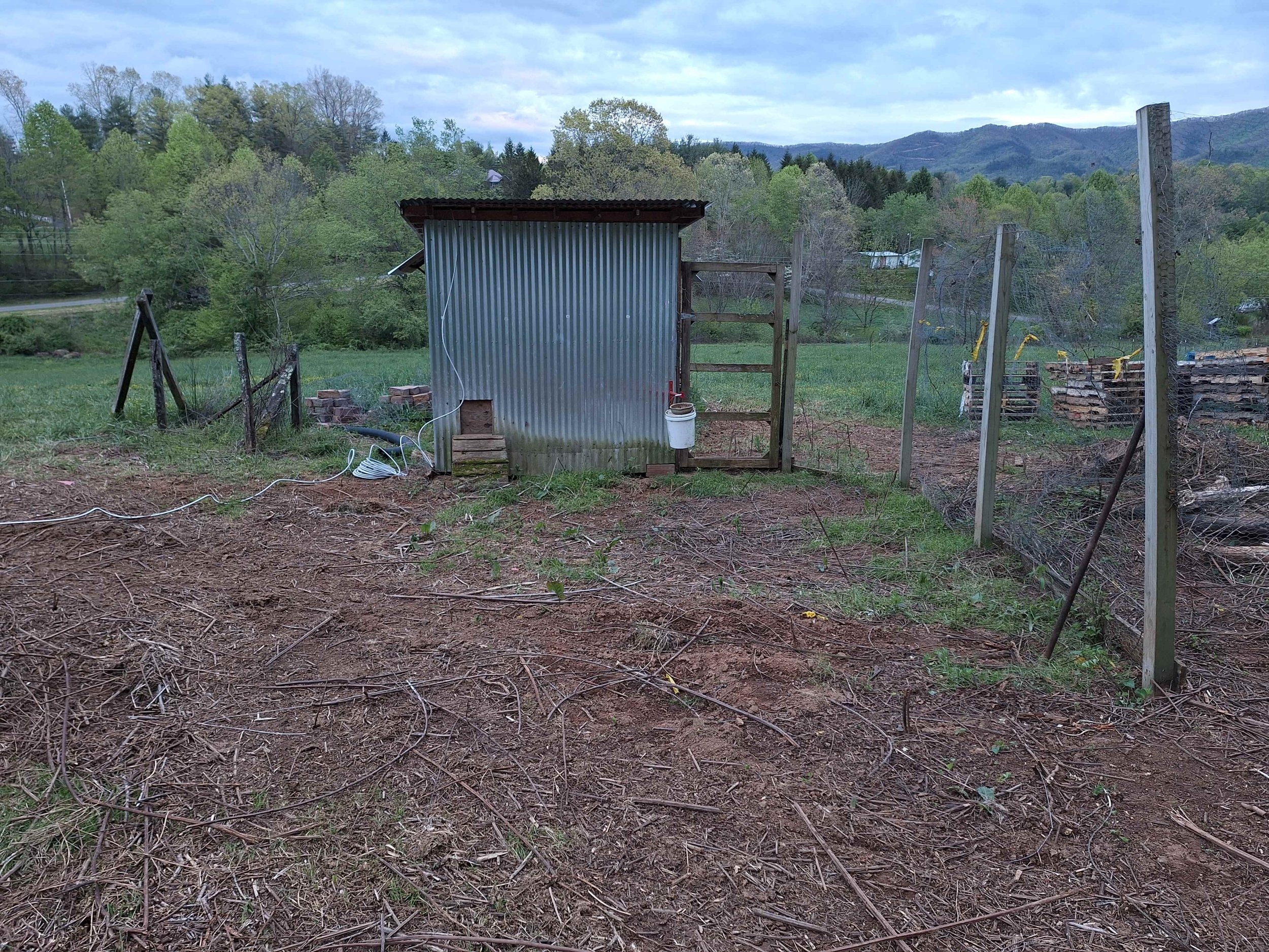 coop yard.jpg