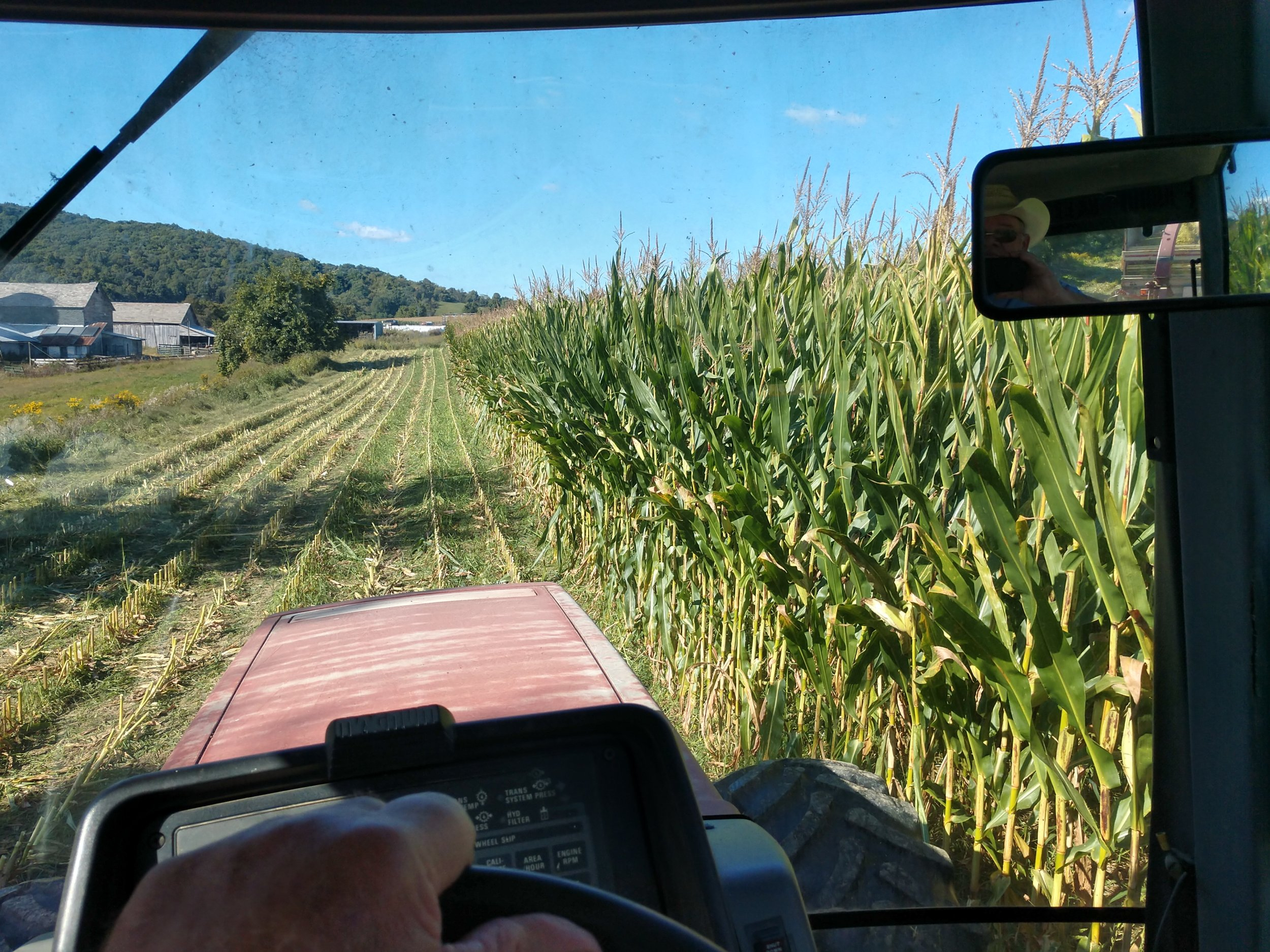 corn 1.jpg