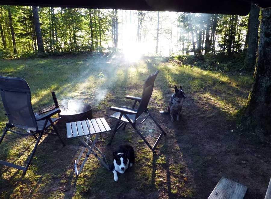 cortdogs0726.jpg