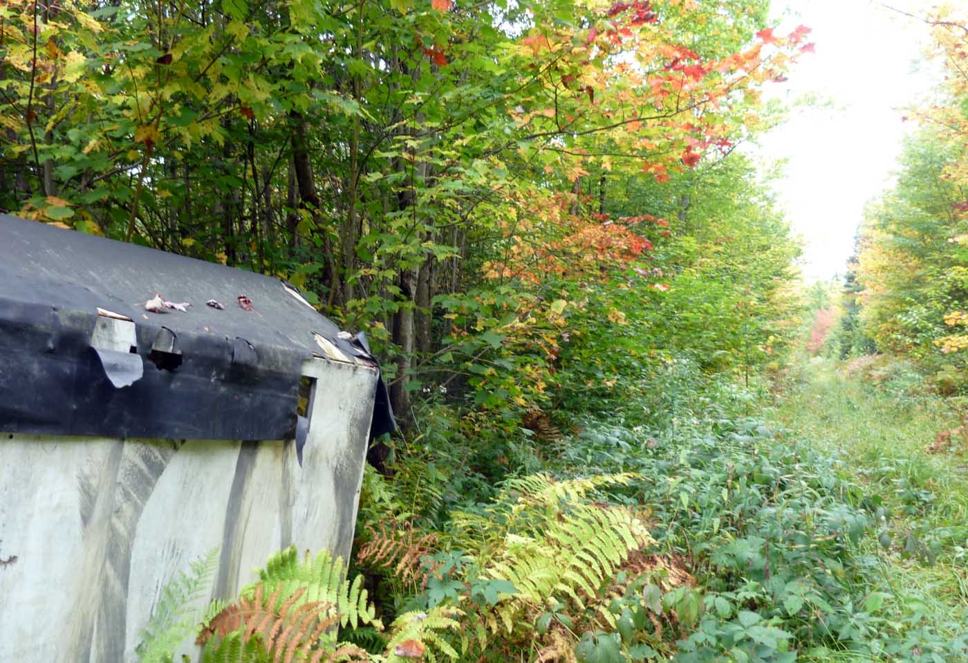 covblindfall024.jpg