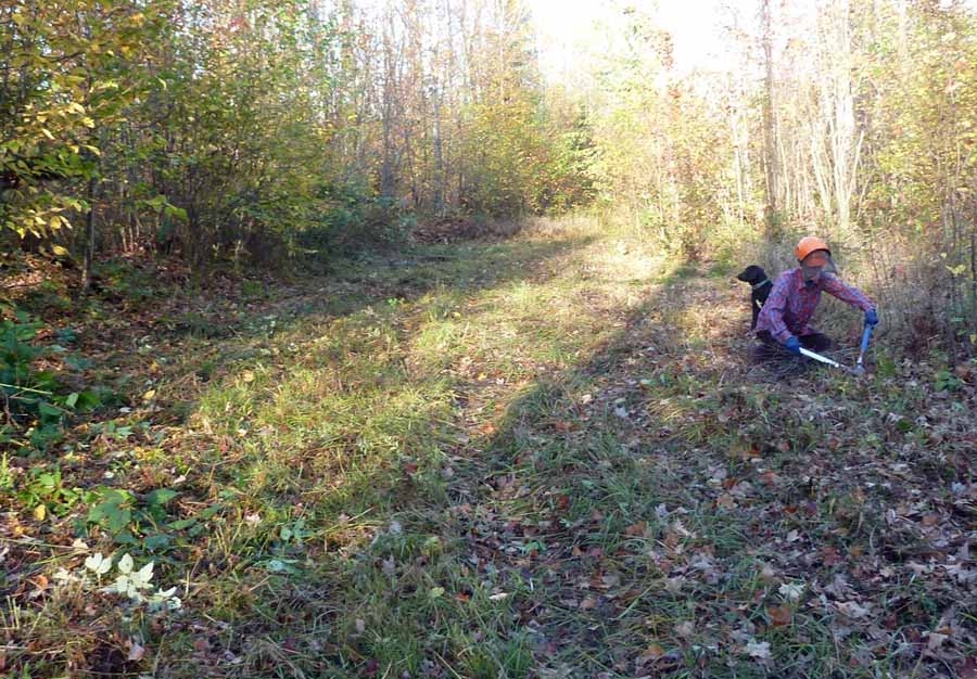 covtrailclearing06.jpg