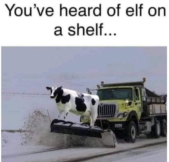 cow on a plow.jpg