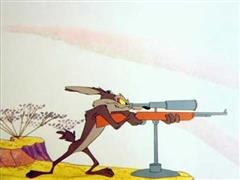 coyote.jpg
