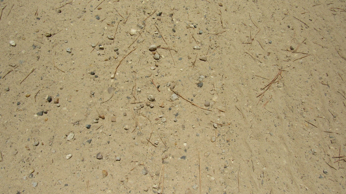 crushed concrete2.JPG