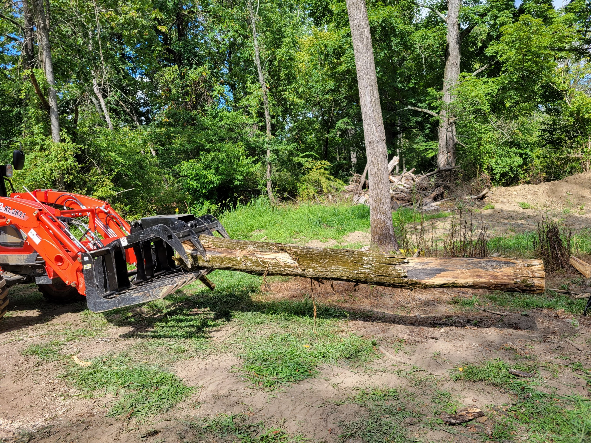 cuttin a log.jpg